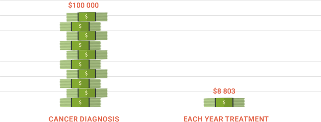 cost chart